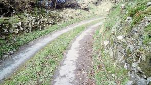 Rural road repairs in Leitrim could take over 20 years without increased funding