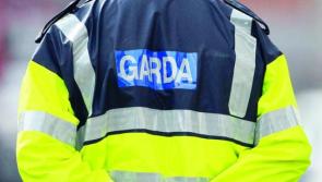 ALERT: Gardaí issue warning over suspicious vehicle calling to farmyards in South Leitrim 