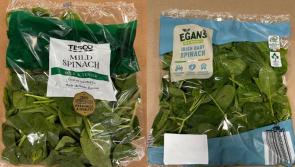 'Do not eat' - Fresh listeria fears as salad pulled from shelves in Irish supermarkets