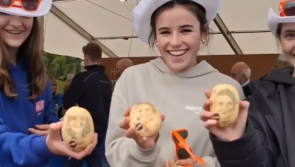 WATCH: 'Jerseys, hats, and plenty of pens' - The best freebies at the Ploughing Championships