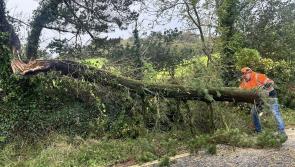 People of Leitrim want more! 'Absolute chaos' in Leitrim caused by Storm Amy