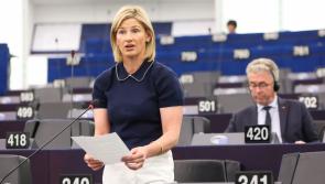 MEP highlights vital impact of Leitrim Sheds in local communities during parliament debate