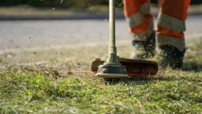Insurance issues halt maintenance on Council housing estates in Leitrim