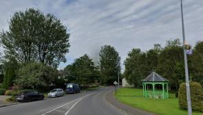 Tall trees at Leitrim playground to be surveyed over safety fears