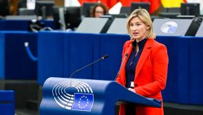 MEP highlights Alzheimer&rsquo;s statistics in Leitrim at EU Dementia Conference