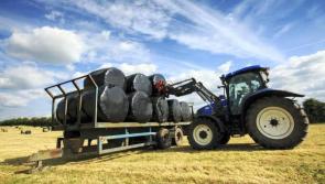 'Ireland must  use Presidency  to deliver for our farmers and fishers - Leitrim MEP