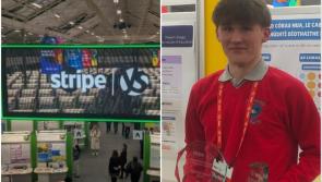 Leitrim student scoops major Stripe Young Scientist Exhibition awards for Irish project