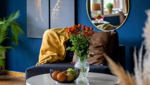 'What about all the hotels that are sitting closed and idle?' - Leitrim councillor