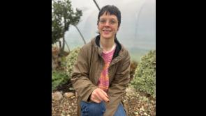 Irish wool is being &lsquo;wasted&rsquo; - but you can spin your own in Leitrim