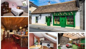 PICTURES: Famous old-world thatched Irish pub with home and beer garden hits the market