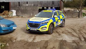 Driver speeds away from checkpoint and hides on farm