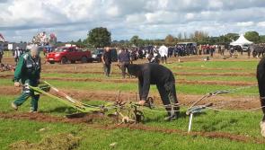 Horse power at the National Ploughing #ploughing17 #watch @npa