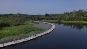 Watch: Almost 600 walkers complete Carrick Camino at the weekend