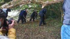 WATCH: Gardai begin search of remote woods in relation to Deirdre Jacob case 