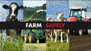 Student video aims to educate young people on farm safety