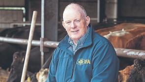Francie Gorman elected IFA President