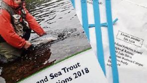 Salmon and sea trout anglers reminded to submit 2018 logbook and gill tags