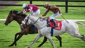 Roscommon racing year concludes next Monday