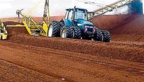 Bord na Móna must fast track rehabilitation plans for bogs 