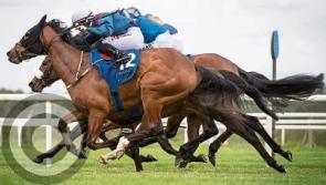 Roscommon Races open season next Monday May 13