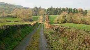 Discover hidden gems in your 5km radius with Google Maps 