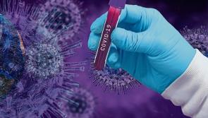 Over 4,000 new Covid cases including six cases of Omicron variant