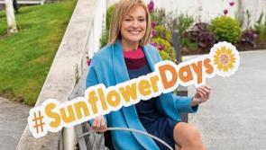 Support Laois Hospice virtual Sunflower Days