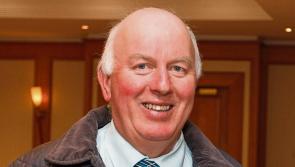Closing date approaching for submission of weights under Dairy Beef Calf Scheme