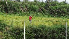 When the group of death turns to life