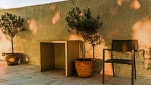 Gardening: Bring some touches of the Med to your garden