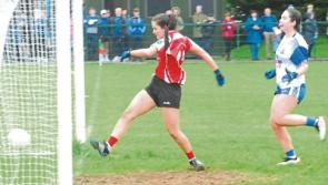 Fowleys lead dominant Dromahair to title