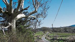 €1.9m for  Leitrim, Sligo, Donegal and Roscommon lanes