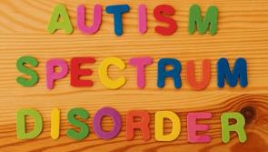More Leitrim Autism Units to be built this year