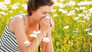 Helpful tips for hay fever sufferers as pollen season set to begin