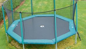 The annual trampoline migration has begun......