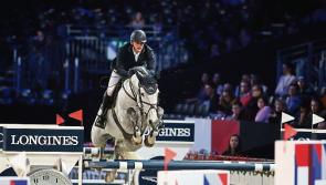 Further success for Arigna bred Ardcolum Duke
