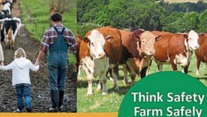HSA to begin a month-long intensive farm inspection campaign 