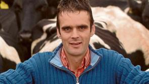 Deteriorating fodder situation can no longer be ignored say IFA