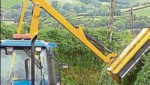 Councillors up in arms over overgrown hedges