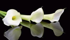 Recent deaths in the Leitrim area