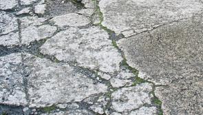 Footpath is a trip hazard and dangerous - McGloin