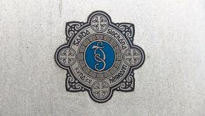 Body of missing man removed from The Shannon