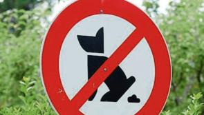 Stricter action on dog fouling urged in Leitrim