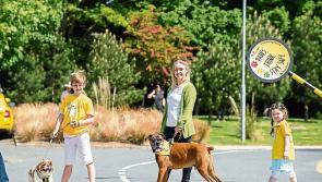 Leitrim Libraries to host free Dog Safety Workshops