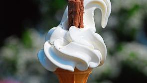 NOMINATE: So where can you buy the best 99 in Leitrim?