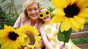 Volunteers wanted for Sunflower Hospice Day