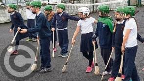 Planting new roots for hurling in Leitrim