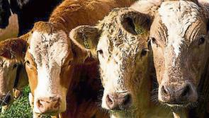 Leitrim farmers could be left without any payment next year