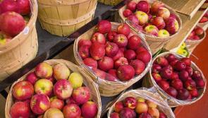 Bumper Organic Centre's Apple Day & Harvest Festival