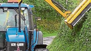 NPWS on “high alert” for hedgerow cutting and removal